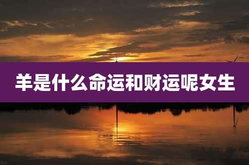 羊是什么命运和财运呢女生