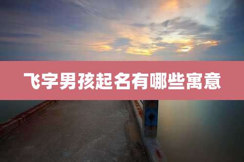 飞字男孩起名有哪些寓意
