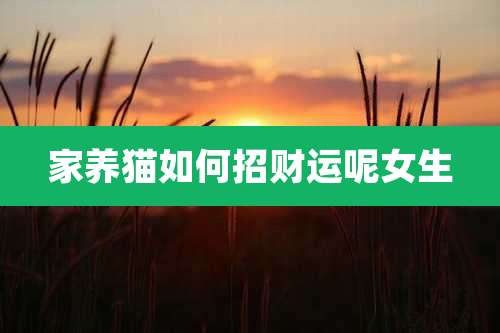 家养猫如何招财运呢女生