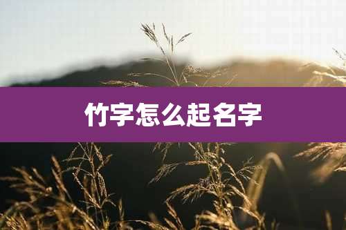 竹字怎么起名字