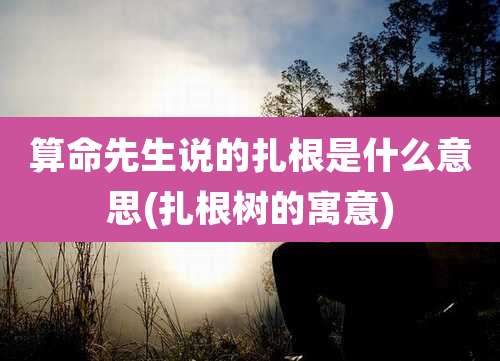 算命先生说的扎根是什么意思(扎根树的寓意)