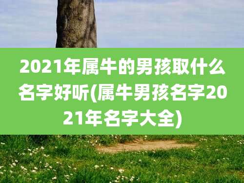 2021年属牛的男孩取什么名字好听(属牛男孩名字2021年名字大全)