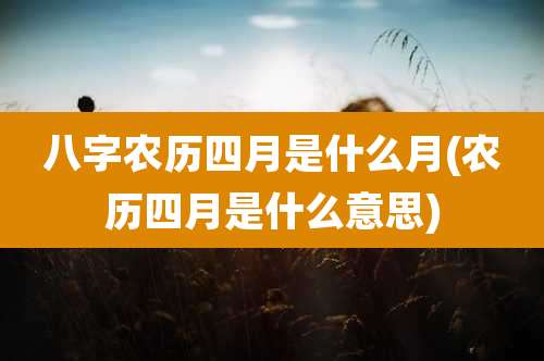 八字农历四月是什么月(农历四月是什么意思)
