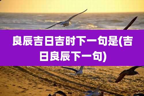 良辰吉日吉时下一句是(吉日良辰下一句)