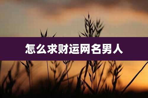 怎么求财运网名男人