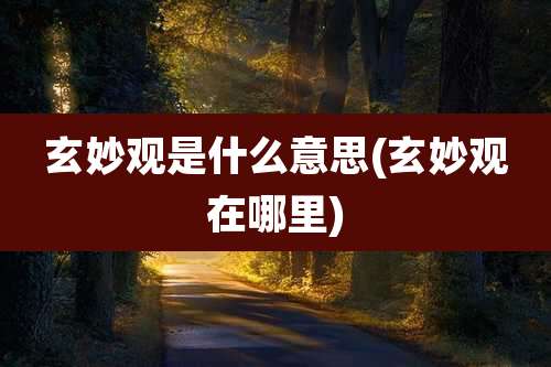 玄妙观是什么意思(玄妙观在哪里)