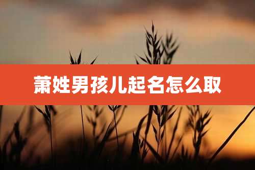 萧姓男孩儿起名怎么取