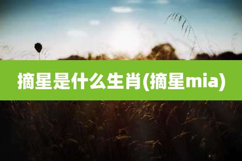 摘星是什么生肖(摘星mia)