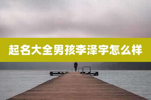 起名大全男孩李泽宇怎么样