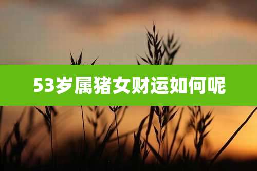 53岁属猪女财运如何呢