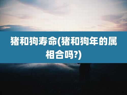 猪和狗寿命(猪和狗年的属相合吗?)