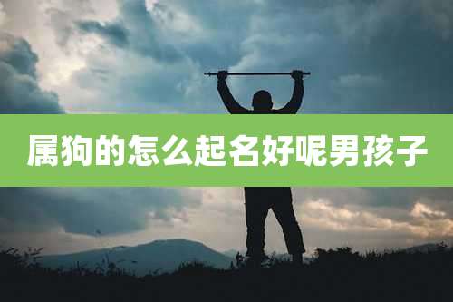 属狗的怎么起名好呢男孩子