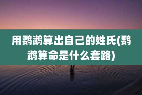 用鹦鹉算出自己的姓氏(鹦鹉算命是什么套路)