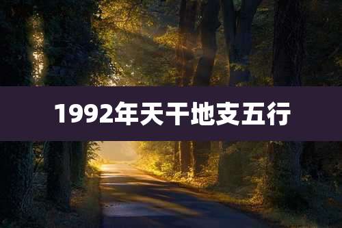 1992年天干地支五行