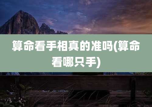 算命看手相真的准吗(算命看哪只手)
