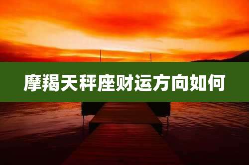 摩羯天秤座财运方向如何