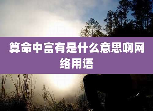 算命中富有是什么意思啊网络用语