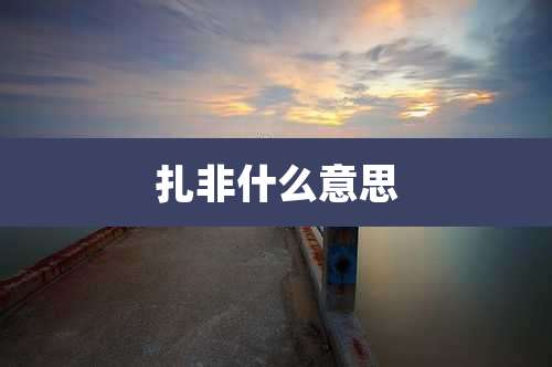 扎非什么意思