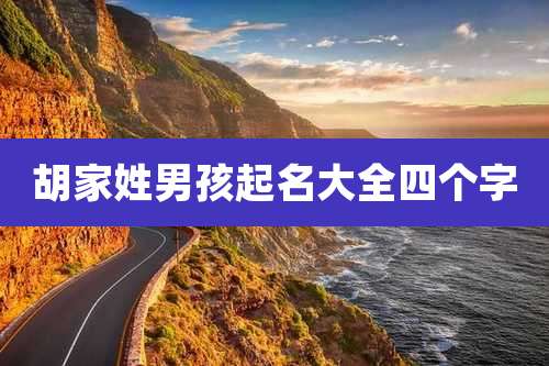 胡家姓男孩起名大全四个字