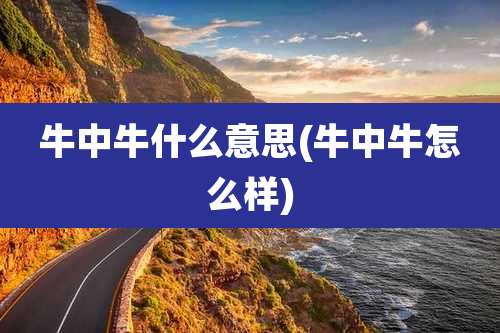 牛中牛什么意思(牛中牛怎么样)