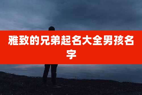 雅致的兄弟起名大全男孩名字