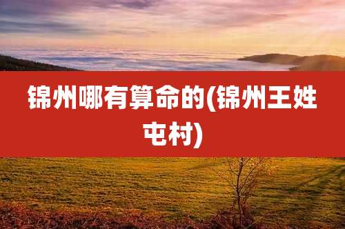 锦州哪有算命的(锦州王姓屯村)