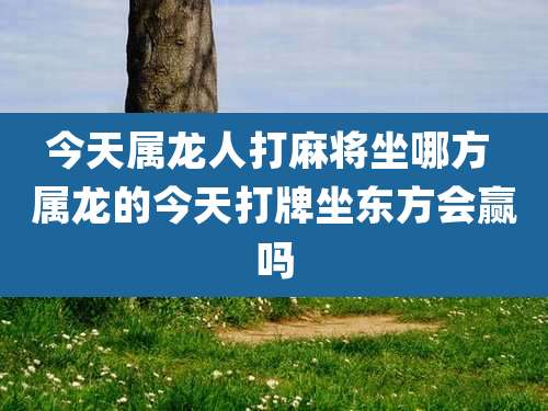 今天属龙人打麻将坐哪方 属龙的今天打牌坐东方会赢吗