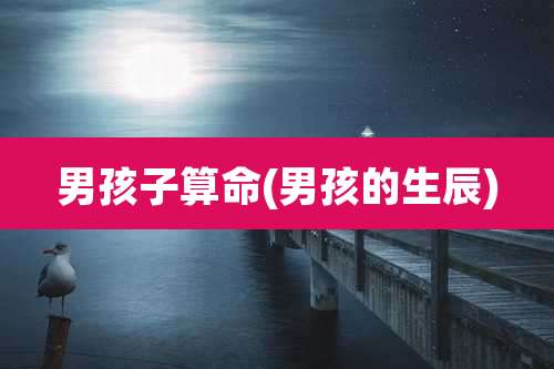 男孩子算命(男孩的生辰)