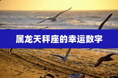 属龙天秤座的幸运数字