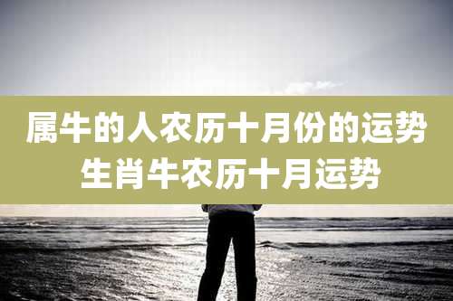 属牛的人农历十月份的运势 生肖牛农历十月运势