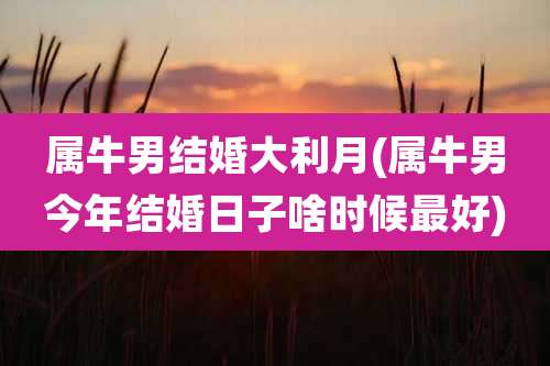 属牛男结婚大利月(属牛男今年结婚日子啥时候最好)
