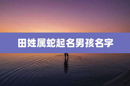 田姓属蛇起名男孩名字