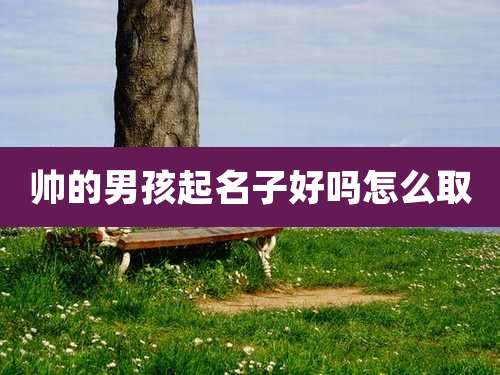 帅的男孩起名子好吗怎么取