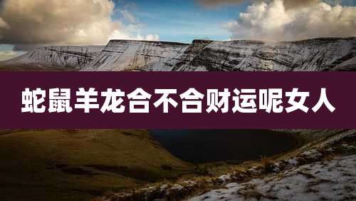 蛇鼠羊龙合不合财运呢女人