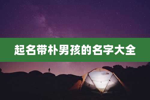 起名带朴男孩的名字大全