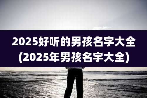2025好听的男孩名字大全(2025年男孩名字大全)