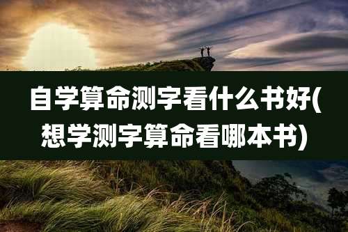 自学算命测字看什么书好(想学测字算命看哪本书)