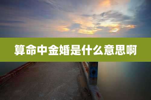 算命中金婚是什么意思啊
