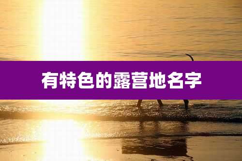 有特色的露营地名字