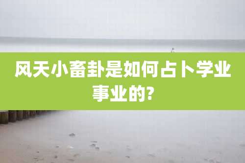 风天小畜卦是如何占卜学业事业的?