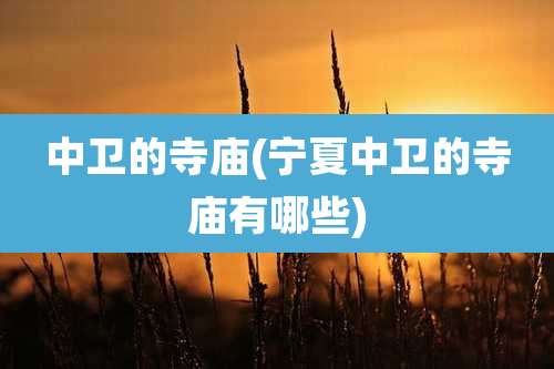 中卫的寺庙(宁夏中卫的寺庙有哪些)