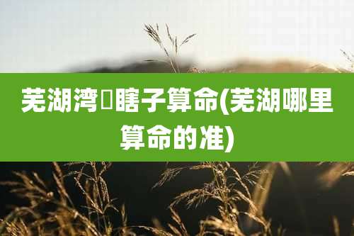 芜湖湾沚瞎子算命(芜湖哪里算命的准)