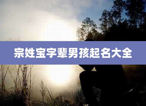 宗姓宝字辈男孩起名大全