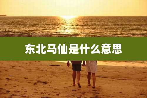 东北马仙是什么意思