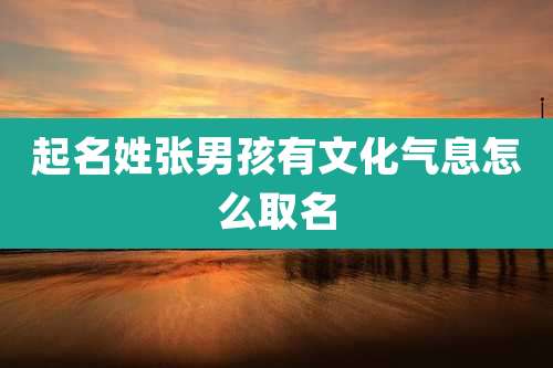 起名姓张男孩有文化气息怎么取名