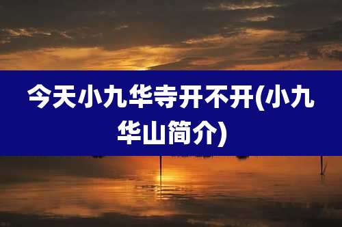 今天小九华寺开不开(小九华山简介)