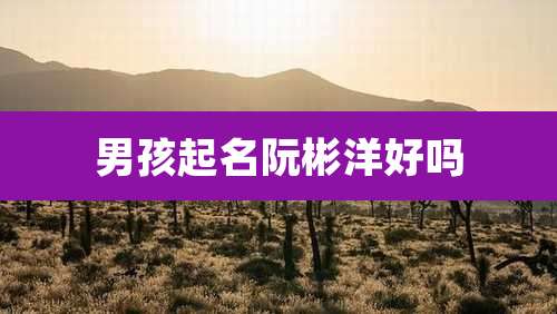 男孩起名阮彬洋好吗