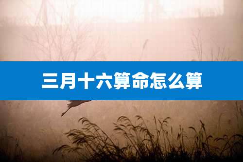 三月十六算命怎么算