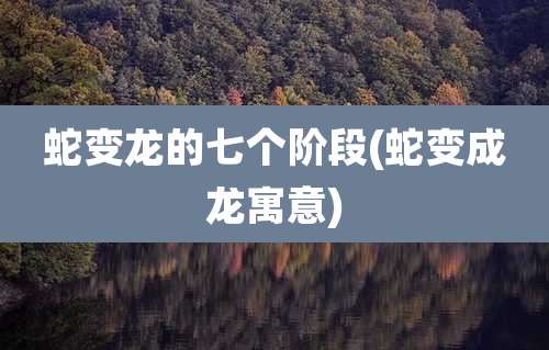 蛇变龙的七个阶段(蛇变成龙寓意)