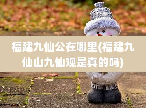 福建九仙公在哪里(福建九仙山九仙观是真的吗)